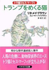 画像: トランプをめくる猫